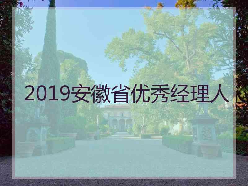 2019安徽省优秀经理人