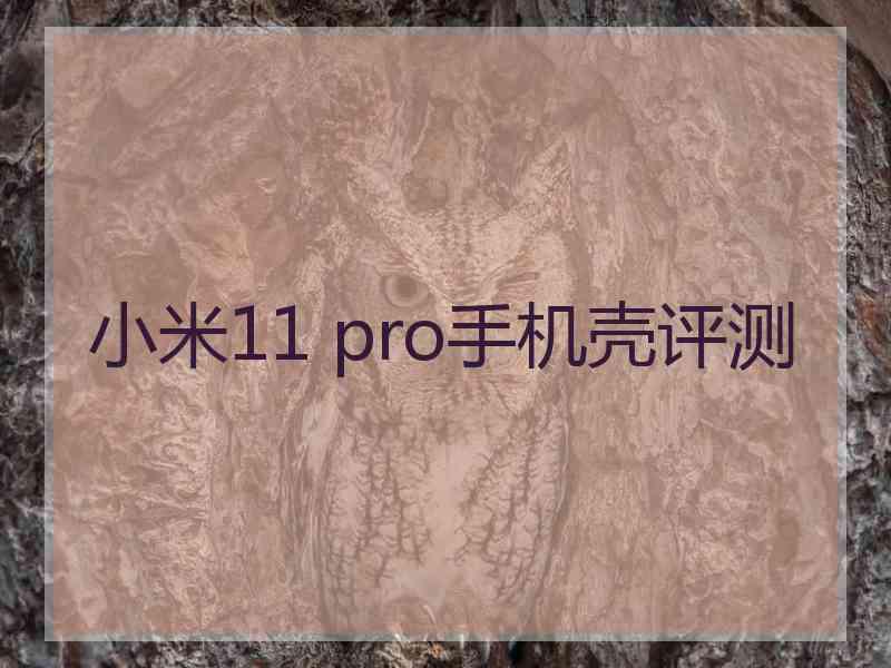 小米11 pro手机壳评测