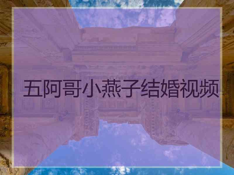五阿哥小燕子结婚视频