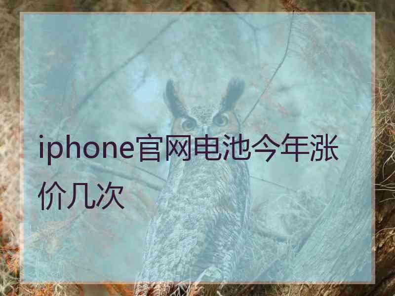 iphone官网电池今年涨价几次
