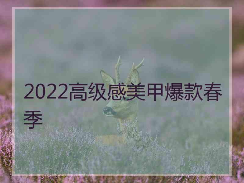 2022高级感美甲爆款春季