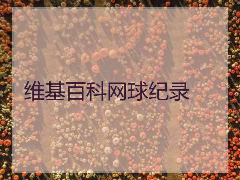 维基百科网球纪录