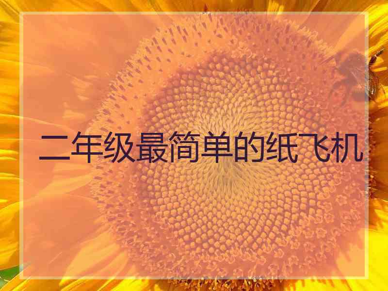 二年级最简单的纸飞机