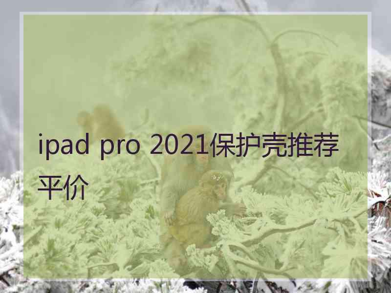 ipad pro 2021保护壳推荐平价