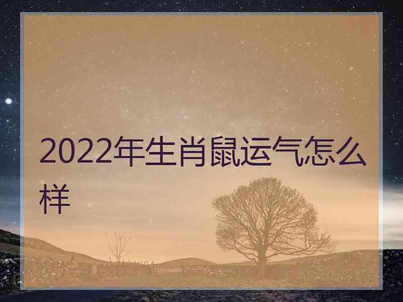 2022年生肖鼠运气怎么样