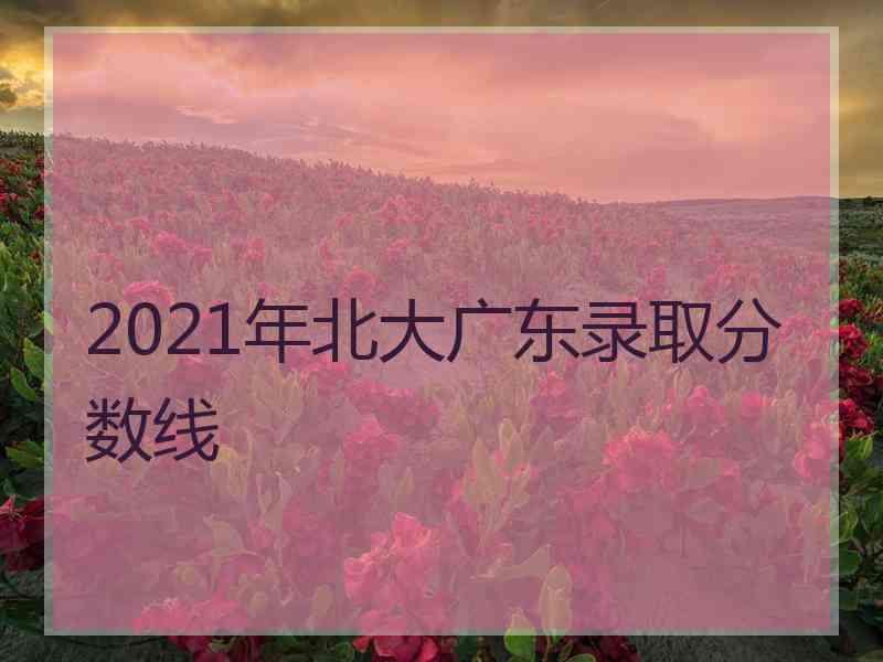 2021年北大广东录取分数线
