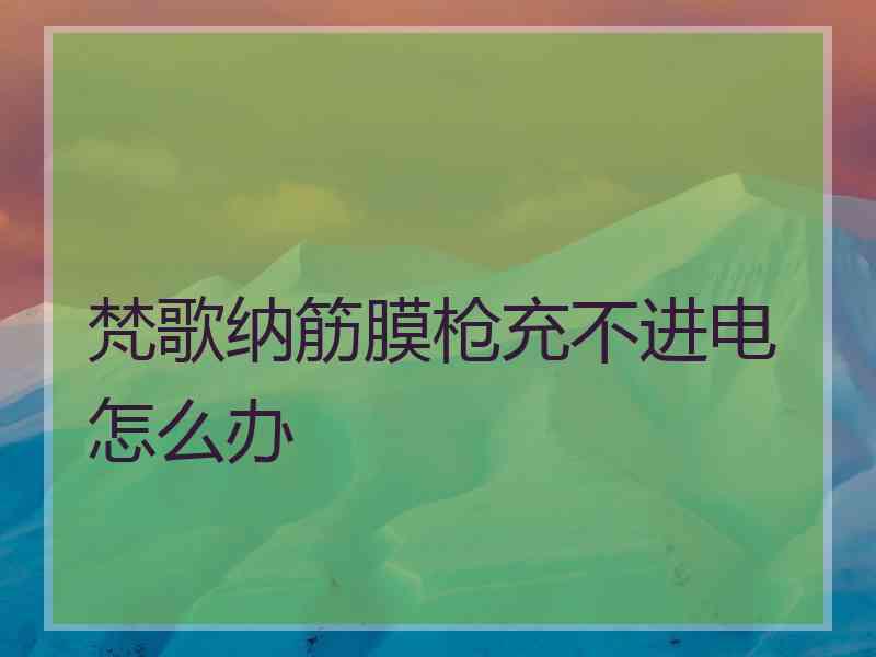 梵歌纳筋膜枪充不进电怎么办
