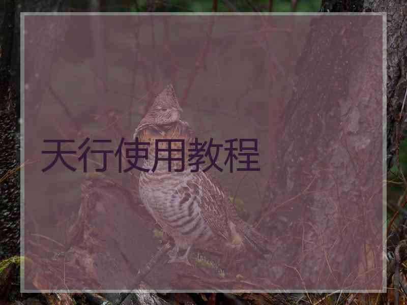 天行使用教程