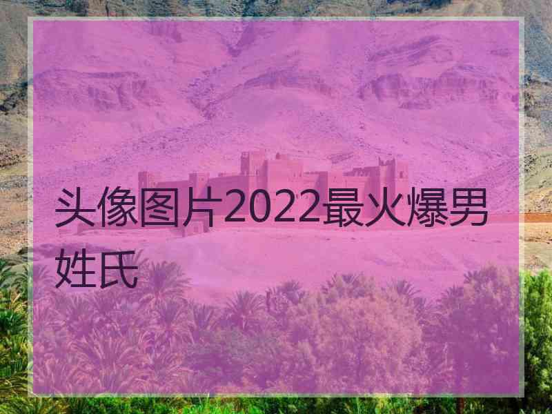 头像图片2022最火爆男姓氏