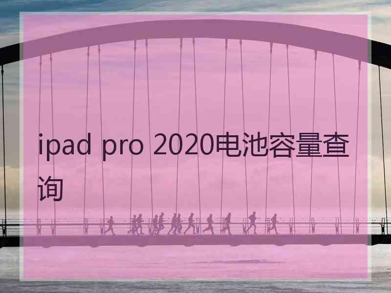 ipad pro 2020电池容量查询
