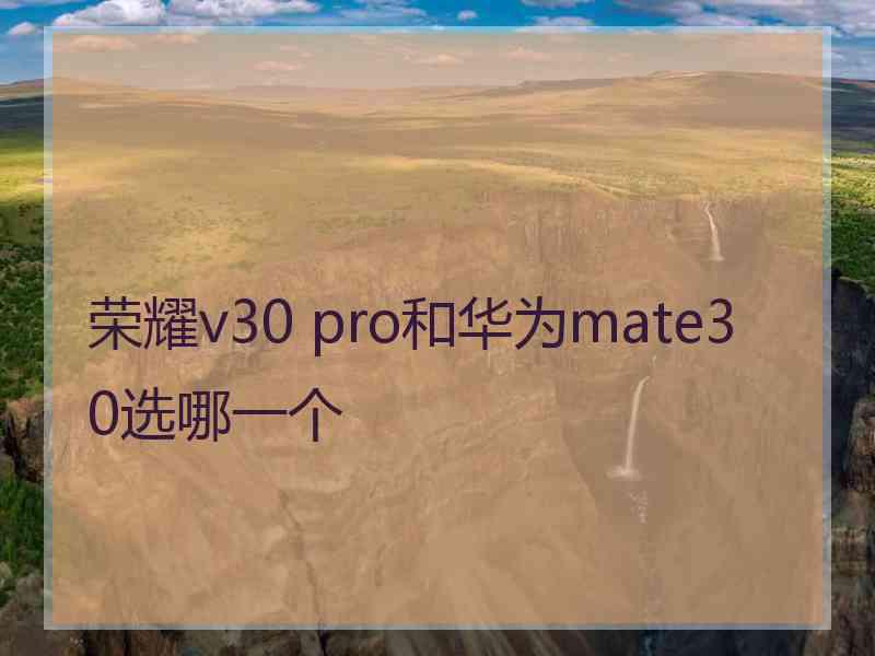 荣耀v30 pro和华为mate30选哪一个