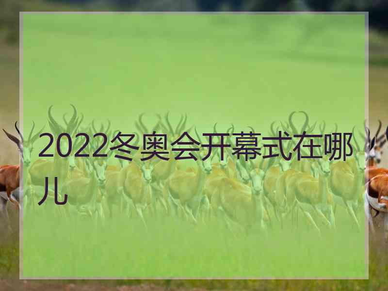 2022冬奥会开幕式在哪儿