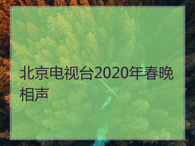 北京电视台2020年春晚相声