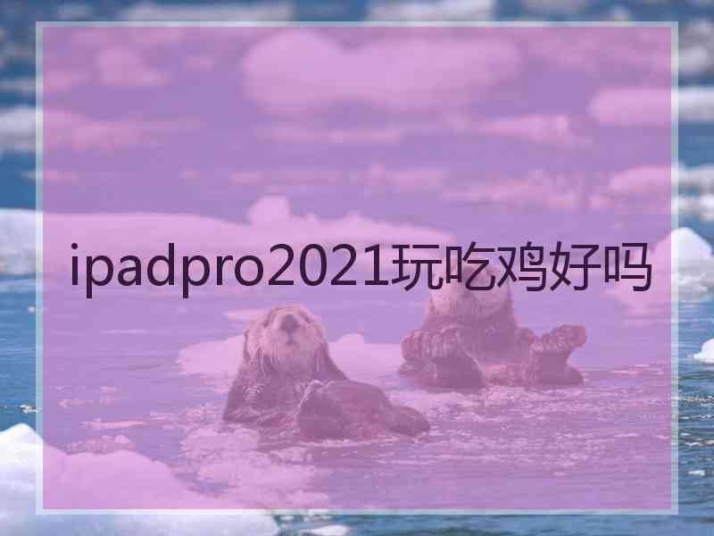 ipadpro2021玩吃鸡好吗