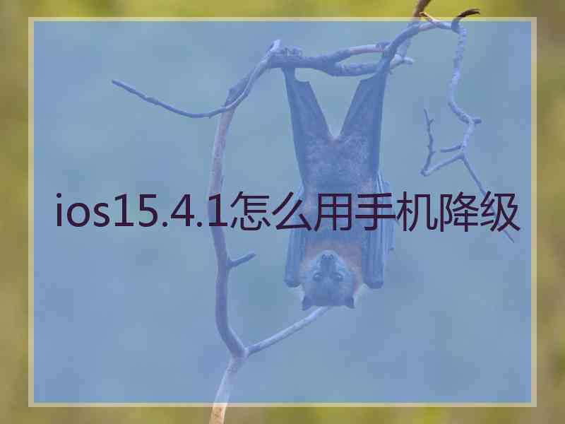 ios15.4.1怎么用手机降级