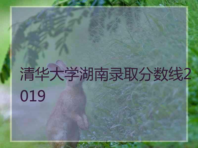 清华大学湖南录取分数线2019