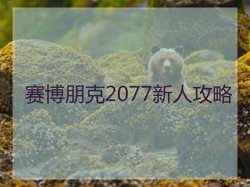 赛博朋克2077新人攻略