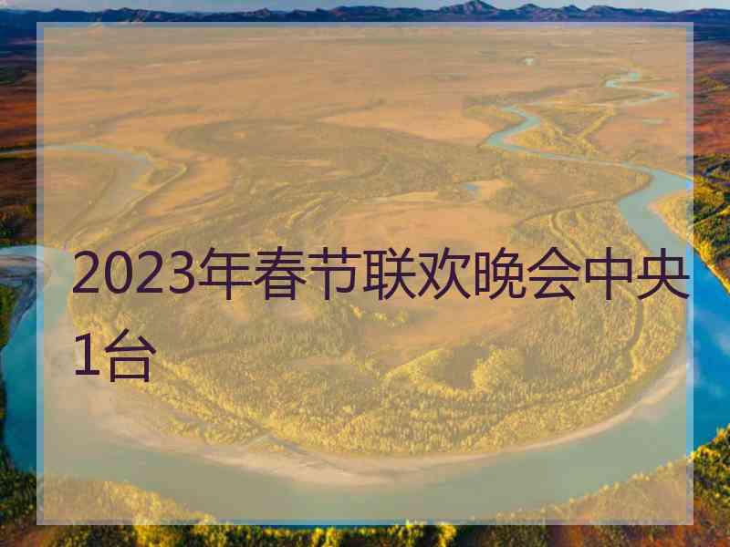 2023年春节联欢晚会中央1台
