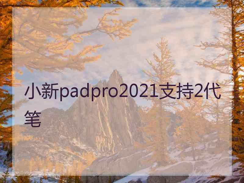 小新padpro2021支持2代笔