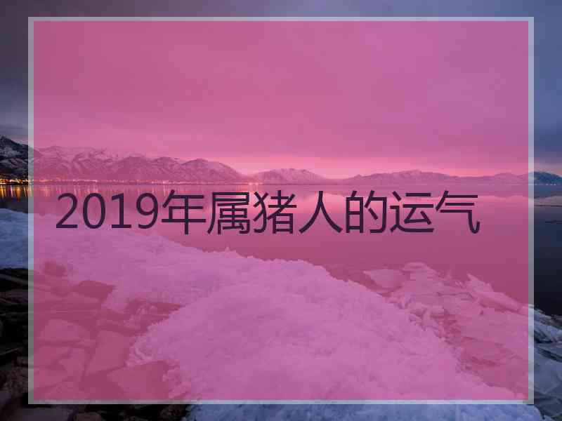 2019年属猪人的运气