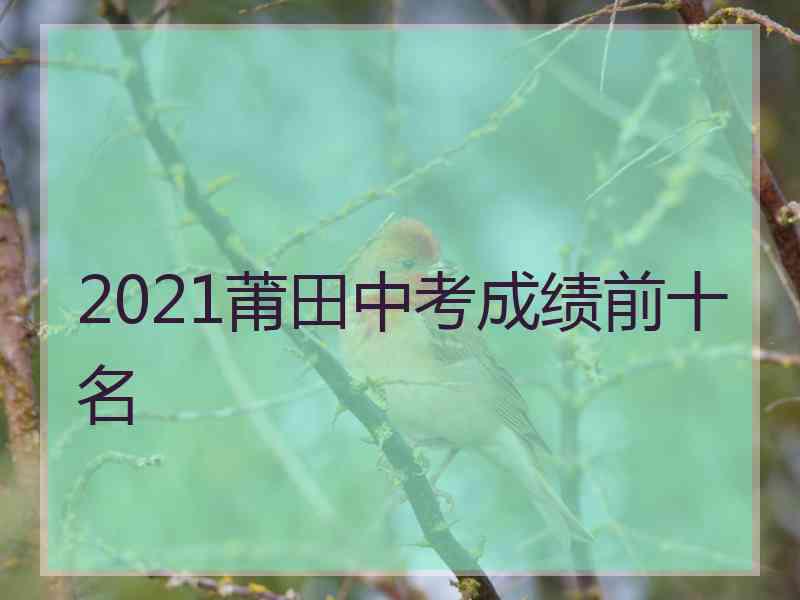 2021莆田中考成绩前十名