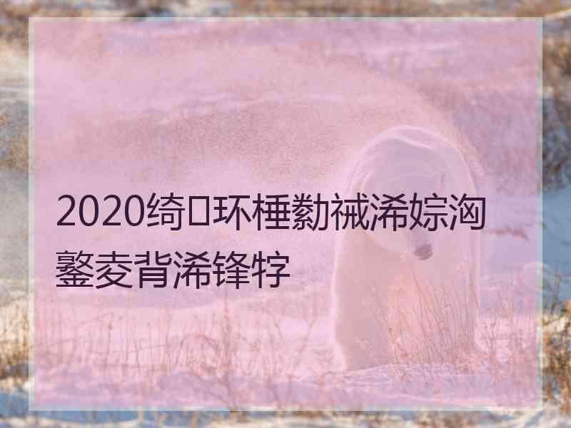 2020绮环棰勬祴浠婃洶鐜夌背浠锋牸