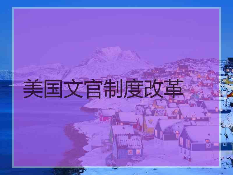 美国文官制度改革