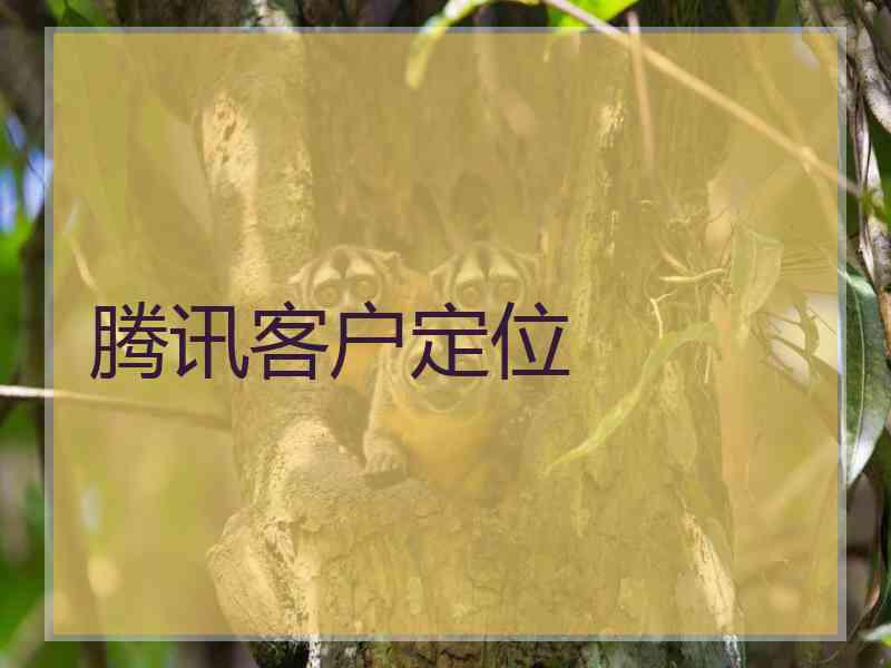 腾讯客户定位