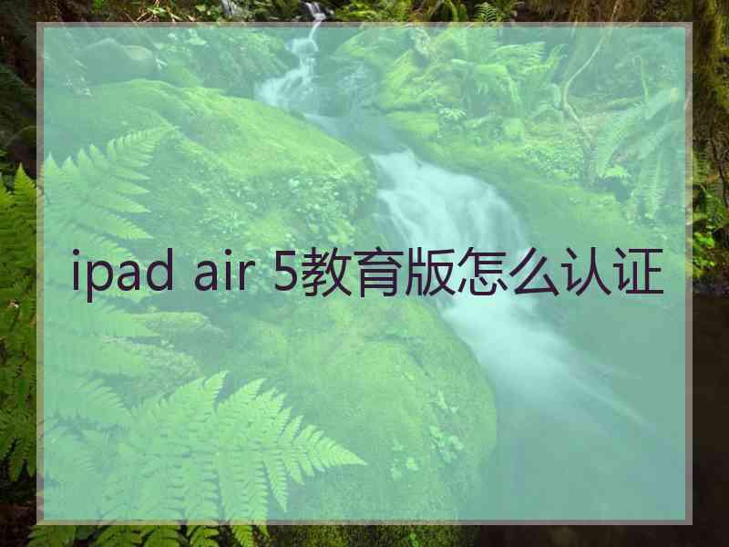 ipad air 5教育版怎么认证