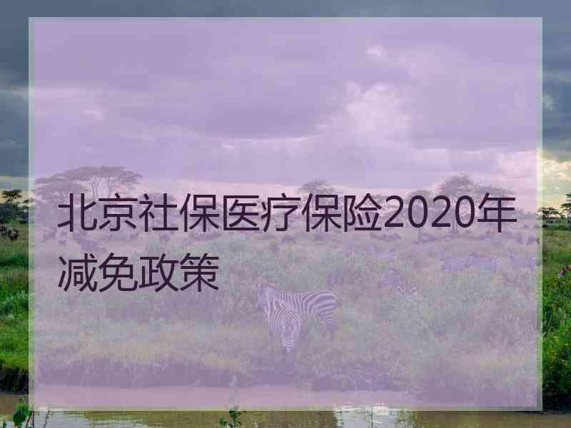北京社保医疗保险2020年减免政策