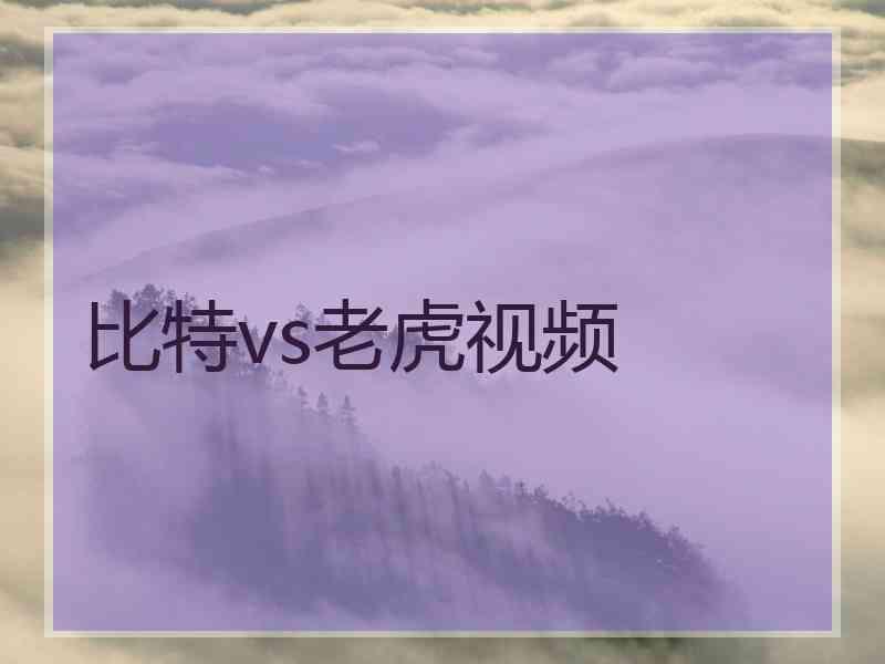 比特vs老虎视频