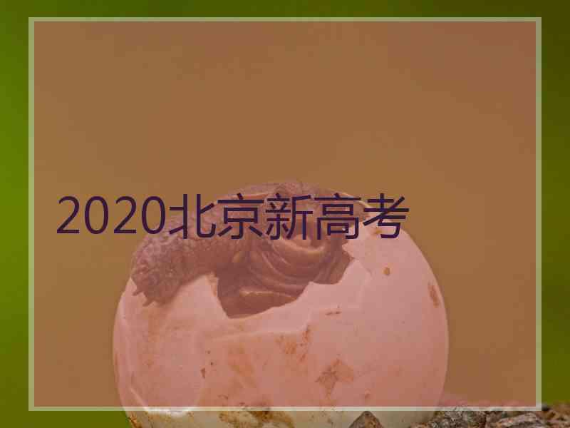 2020北京新高考