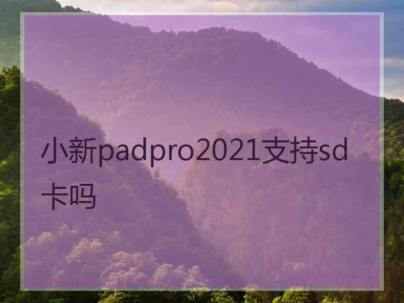 小新padpro2021支持sd卡吗