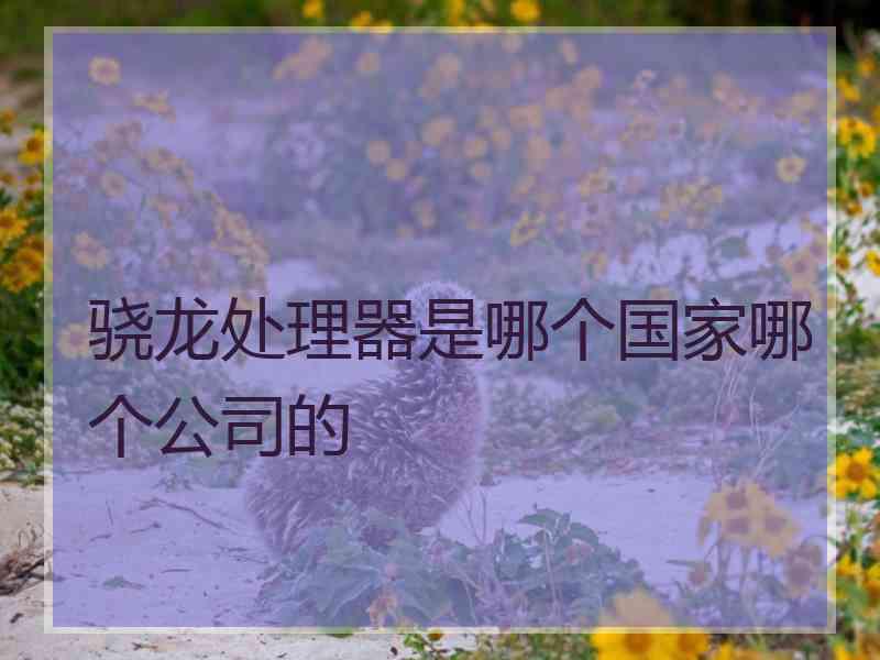 骁龙处理器是哪个国家哪个公司的