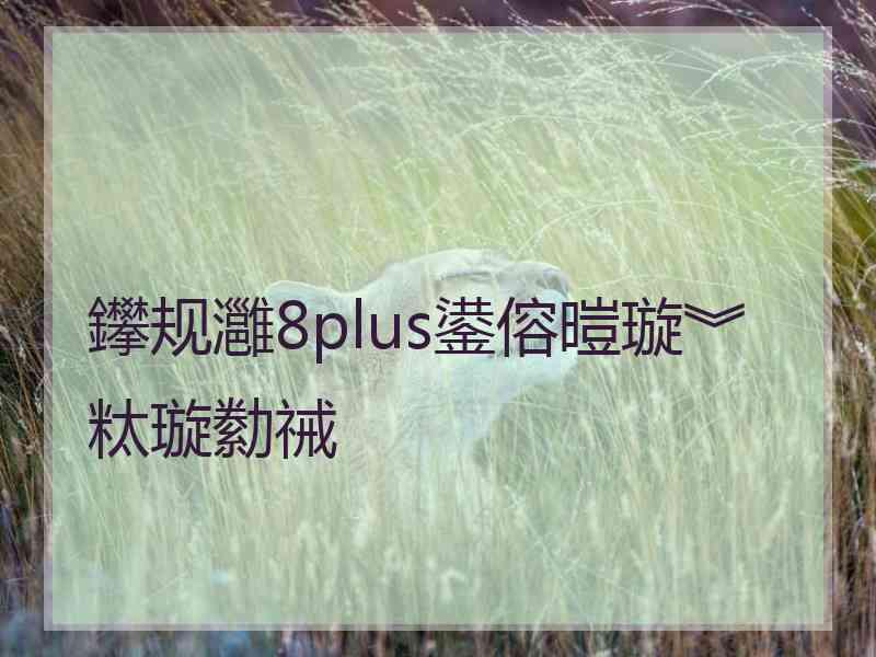 鑻规灉8plus鍙傛暟璇︾粏璇勬祴