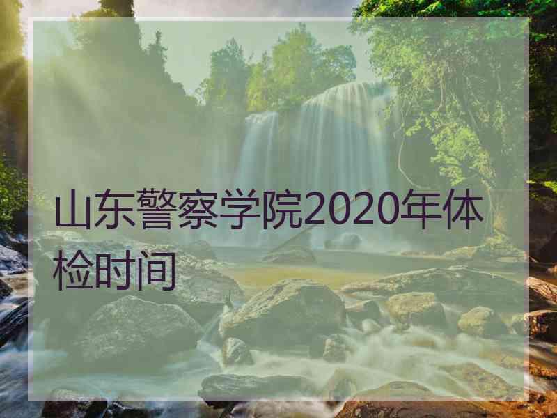 山东警察学院2020年体检时间
