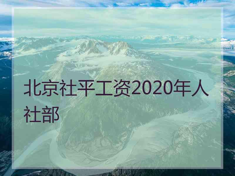 北京社平工资2020年人社部