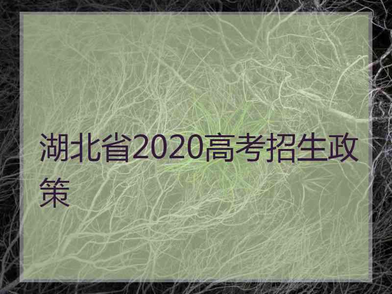湖北省2020高考招生政策