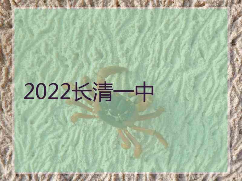 2022长清一中