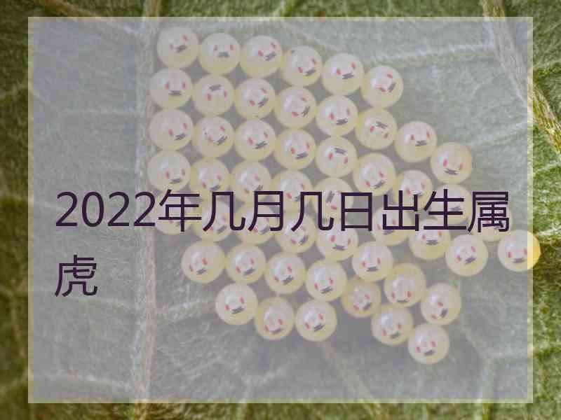 2022年几月几日出生属虎