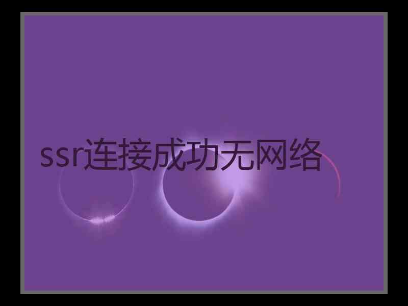 ssr连接成功无网络