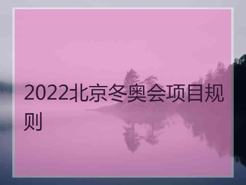 2022北京冬奥会项目规则