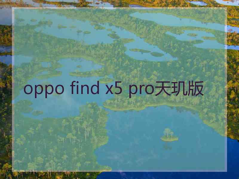 oppo find x5 pro天玑版