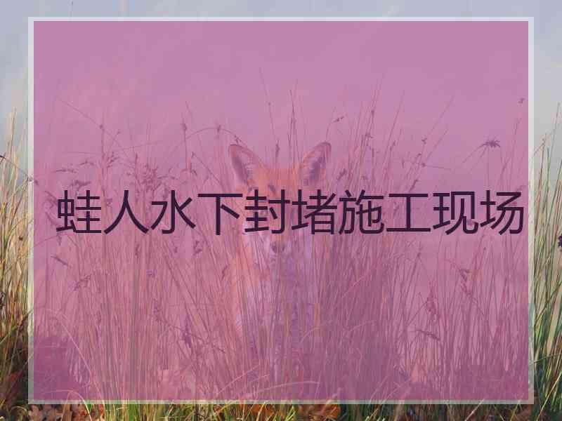蛙人水下封堵施工现场
