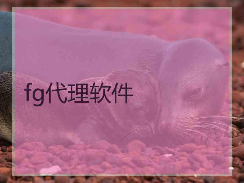 fg代理软件