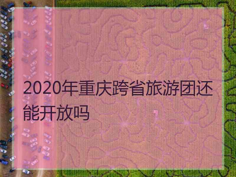 2020年重庆跨省旅游团还能开放吗