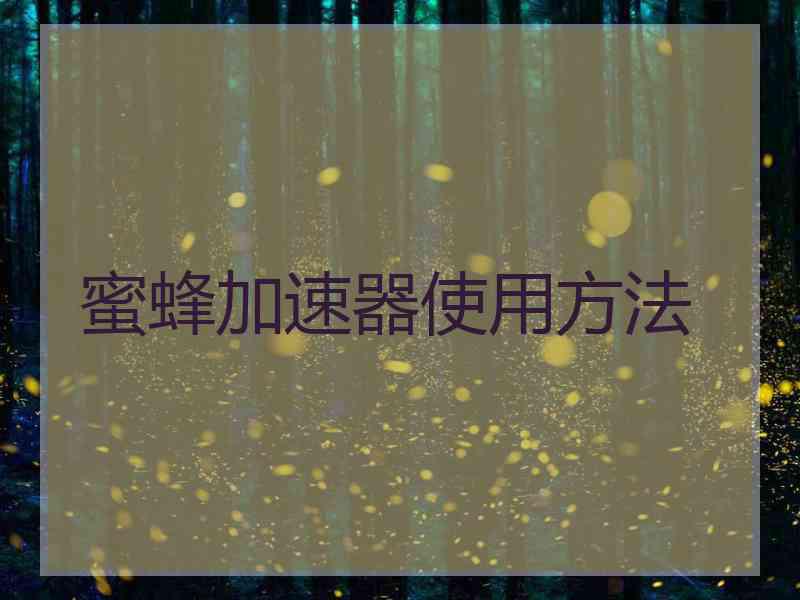 蜜蜂加速器使用方法