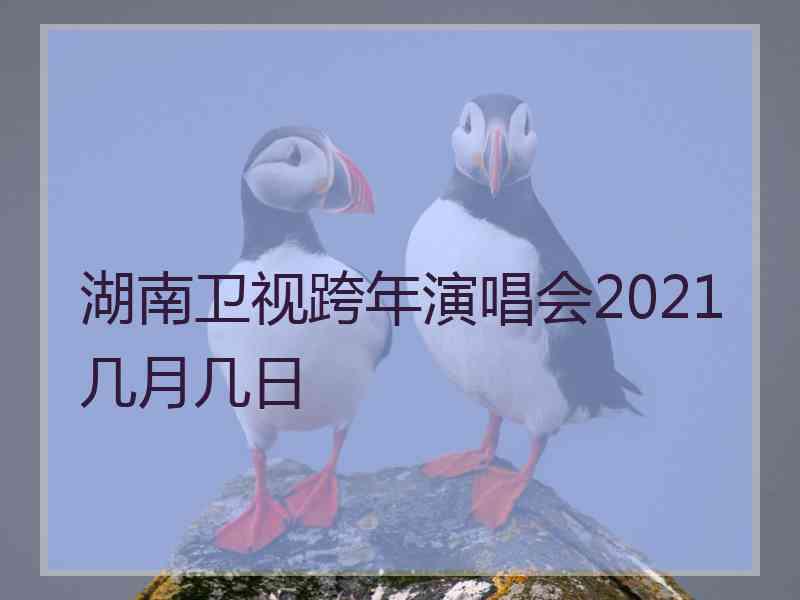 湖南卫视跨年演唱会2021几月几日