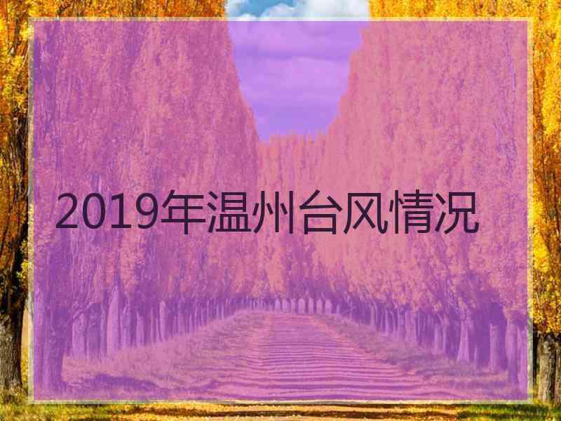 2019年温州台风情况