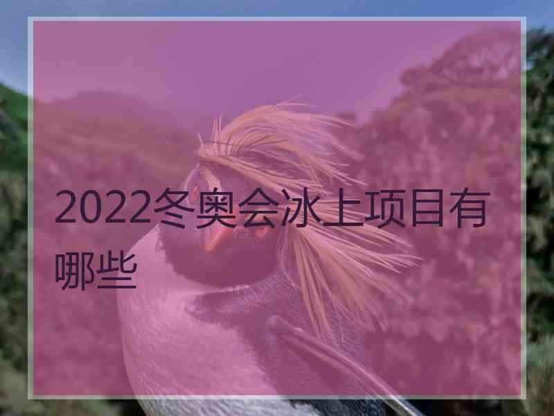 2022冬奥会冰上项目有哪些